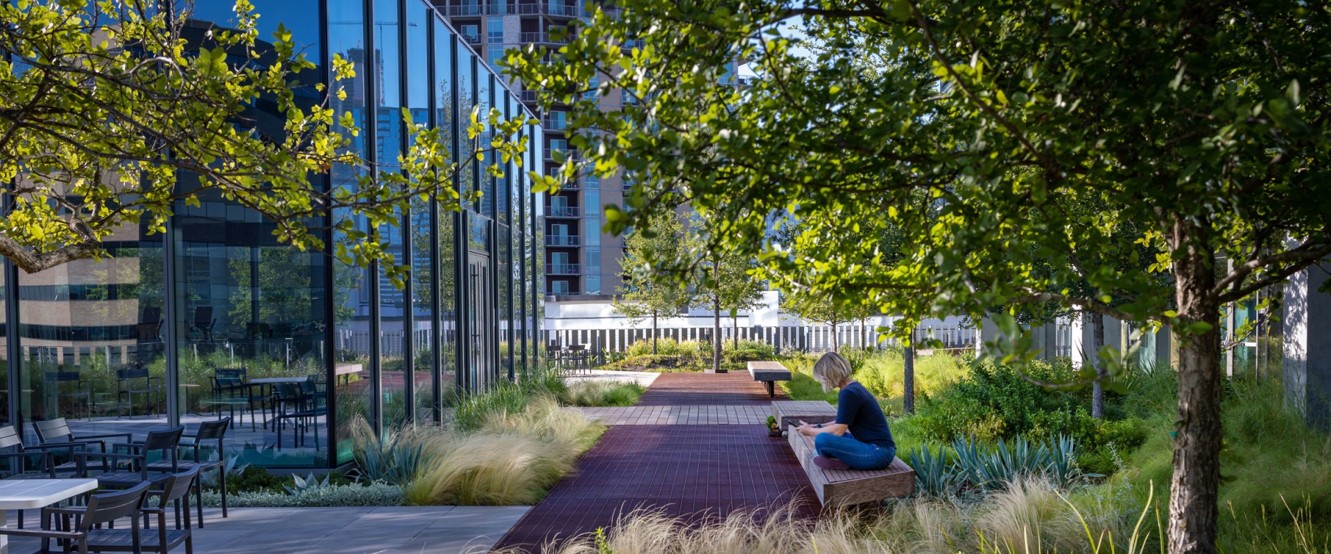 A Comprehensive Guide to Green Roofs