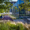 A Comprehensive Guide to Green Roofs
