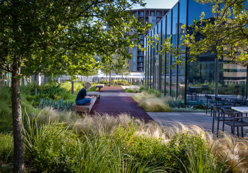 A Comprehensive Guide to Green Roofs